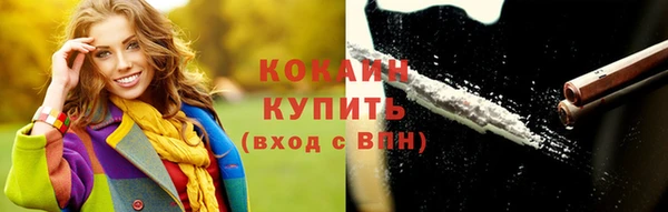 гидра Арсеньев