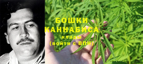 гидра Арсеньев