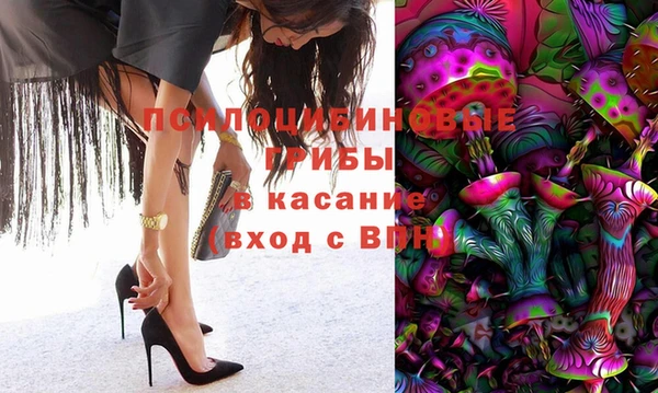 гидра Арсеньев