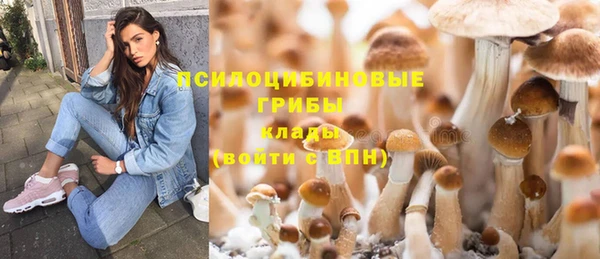 мдпв Армянск