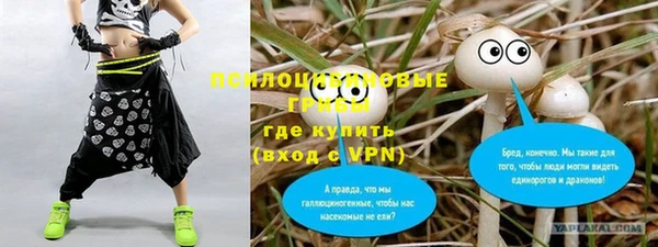 прущий лед Алексин