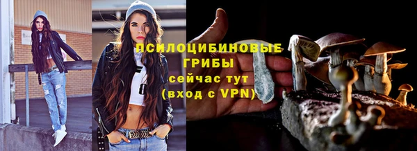 прущий лед Алексин
